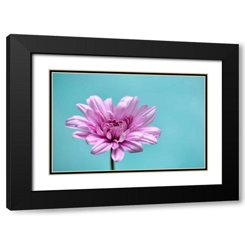 Surrounded in Blue Black Modern Wood Framed Art Print with Double Matting by Peck, Gail