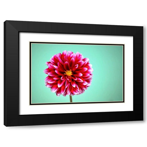 Zenia Black Modern Wood Framed Art Print with Double Matting by Peck, Gail