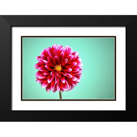 Zenia Black Modern Wood Framed Art Print with Double Matting by Peck, Gail