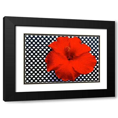 Red Hibiscus Black Modern Wood Framed Art Print with Double Matting by Peck, Gail