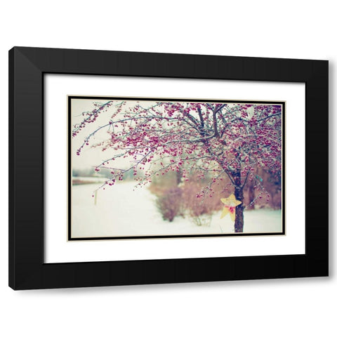 Winter Berries I Black Modern Wood Framed Art Print with Double Matting by Poynter, Kelly