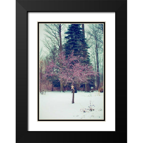 Winter Berries III Black Modern Wood Framed Art Print with Double Matting by Poynter, Kelly