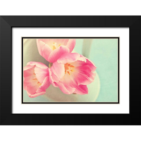 Resplendent Blossoms Black Modern Wood Framed Art Print with Double Matting by Gardner, Sarah