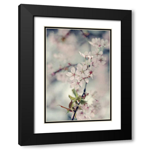 A Branch of Beauty Vertical Black Modern Wood Framed Art Print with Double Matting by Gardner, Sarah