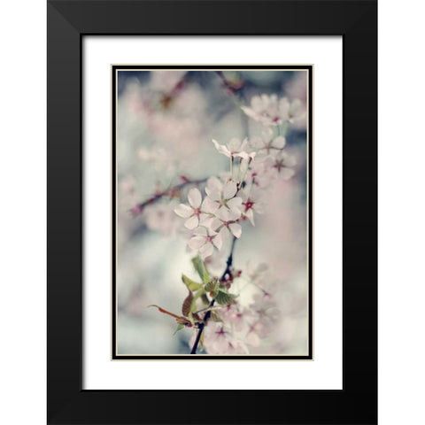 A Branch of Beauty Vertical Black Modern Wood Framed Art Print with Double Matting by Gardner, Sarah