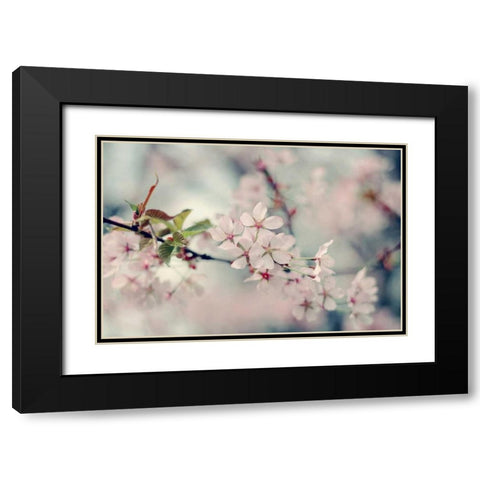 A Branch of Beauty Black Modern Wood Framed Art Print with Double Matting by Gardner, Sarah