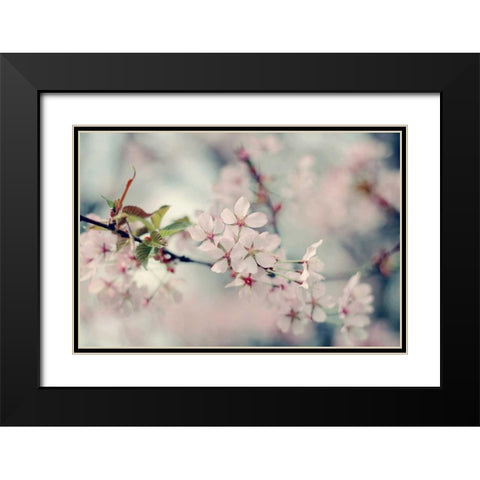 A Branch of Beauty Black Modern Wood Framed Art Print with Double Matting by Gardner, Sarah