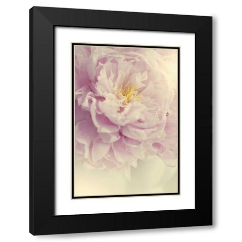 Angelic Petals Black Modern Wood Framed Art Print with Double Matting by Gardner, Sarah