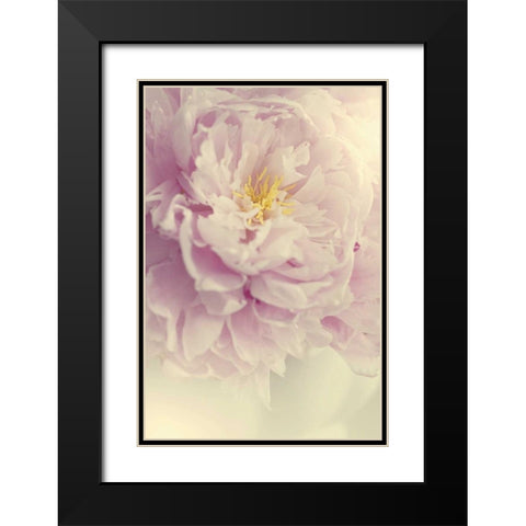 Angelic Petals Black Modern Wood Framed Art Print with Double Matting by Gardner, Sarah