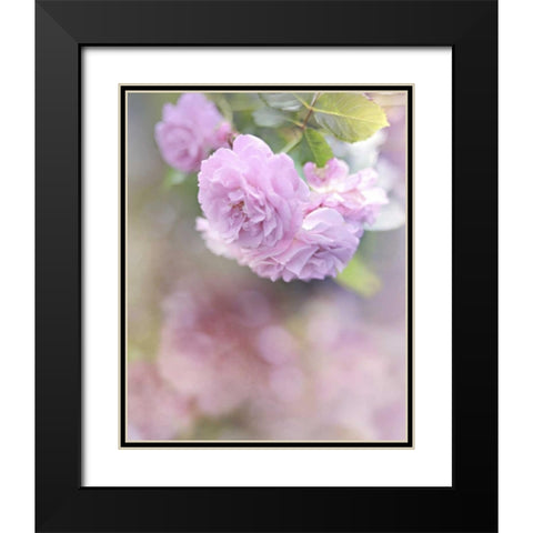 Graceful Floral Black Modern Wood Framed Art Print with Double Matting by Gardner, Sarah