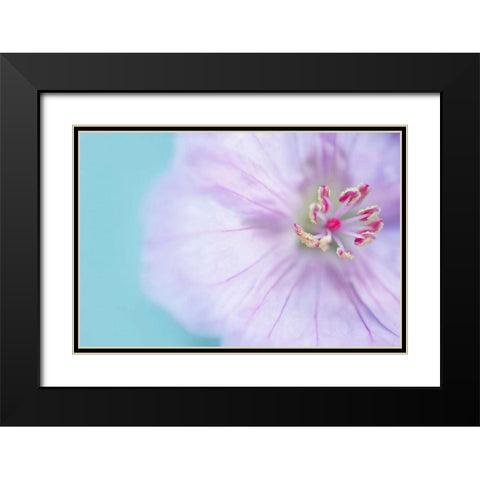 The Heart of a Flower Black Modern Wood Framed Art Print with Double Matting by Gardner, Sarah