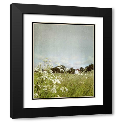 In the Pasture Black Modern Wood Framed Art Print with Double Matting by Gardner, Sarah