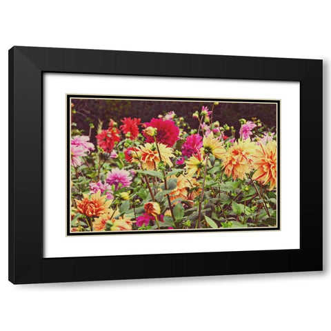 New Garden Black Modern Wood Framed Art Print with Double Matting by Peck, Gail