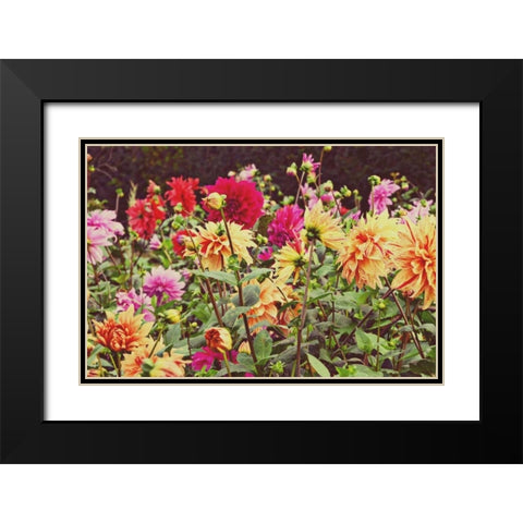 New Garden Black Modern Wood Framed Art Print with Double Matting by Peck, Gail