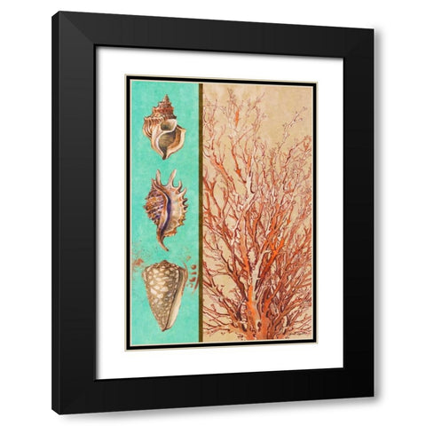 Coral and Sea Shells I Black Modern Wood Framed Art Print with Double Matting by Loreth, Lanie