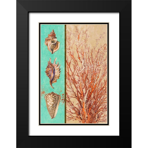 Coral and Sea Shells I Black Modern Wood Framed Art Print with Double Matting by Loreth, Lanie