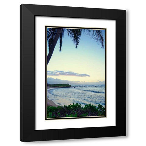 Under the Palm Black Modern Wood Framed Art Print with Double Matting by Nawrocke, Bruce