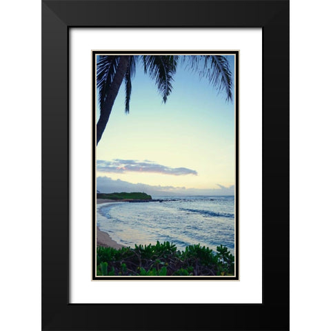 Under the Palm Black Modern Wood Framed Art Print with Double Matting by Nawrocke, Bruce