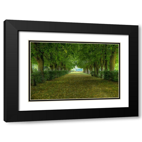 French Gardens Black Modern Wood Framed Art Print with Double Matting by Lake, Shelley