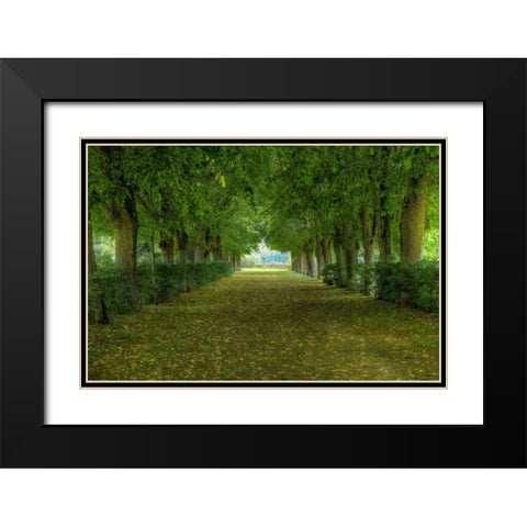 French Gardens Black Modern Wood Framed Art Print with Double Matting by Lake, Shelley