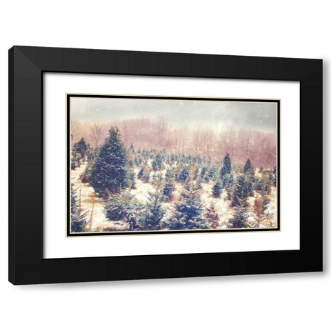 Natures Beauty Black Modern Wood Framed Art Print with Double Matting by Poynter, Kelly