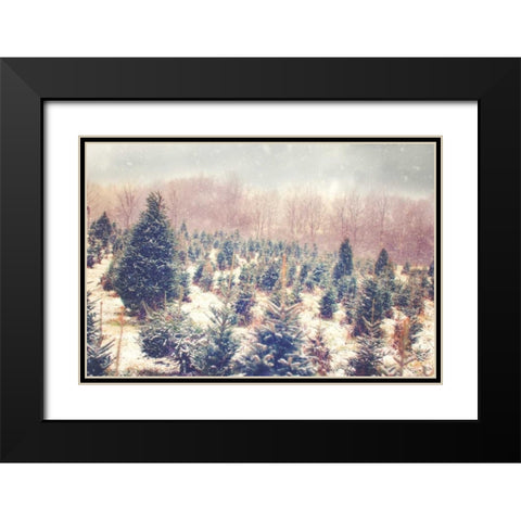 Natures Beauty Black Modern Wood Framed Art Print with Double Matting by Poynter, Kelly