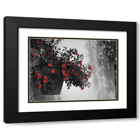 Garden Areas Border I Black Modern Wood Framed Art Print with Double Matting by Peck, Gail