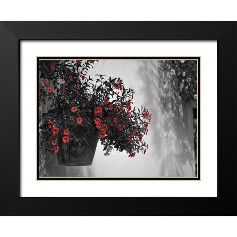 Garden Areas Border I Black Modern Wood Framed Art Print with Double Matting by Peck, Gail