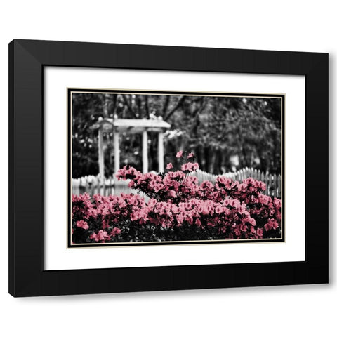 Garden Areas Border II Black Modern Wood Framed Art Print with Double Matting by Peck, Gail