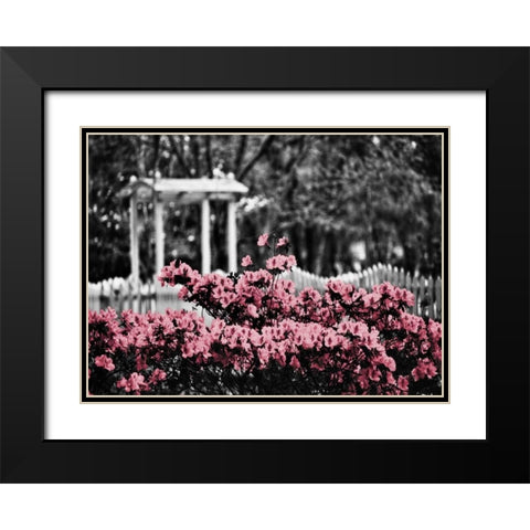 Garden Areas Border II Black Modern Wood Framed Art Print with Double Matting by Peck, Gail