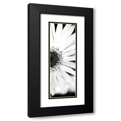 White Bloom I Black Modern Wood Framed Art Print with Double Matting by Bryant, Susan