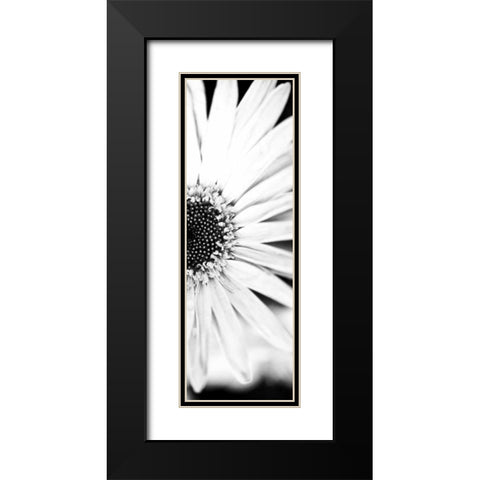 White Bloom I Black Modern Wood Framed Art Print with Double Matting by Bryant, Susan