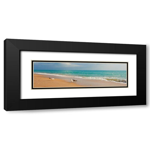 Island Memories I Black Modern Wood Framed Art Print with Double Matting by Bryant, Susan