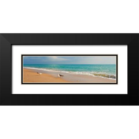 Island Memories I Black Modern Wood Framed Art Print with Double Matting by Bryant, Susan