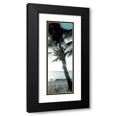 Cool Bimini Palm I Black Modern Wood Framed Art Print with Double Matting by Bryant, Susan
