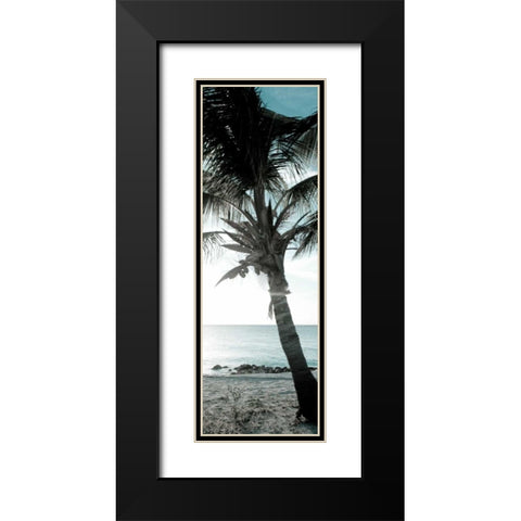 Cool Bimini Palm I Black Modern Wood Framed Art Print with Double Matting by Bryant, Susan
