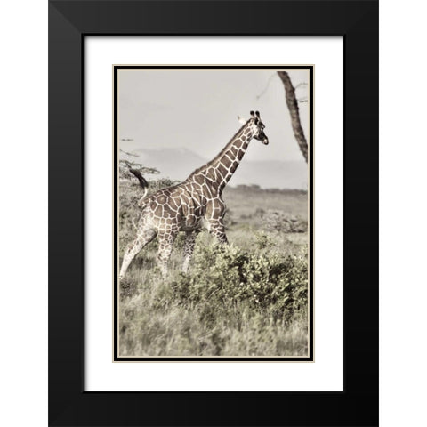 Sepia Giraffe Black Modern Wood Framed Art Print with Double Matting by Bryant, Susan