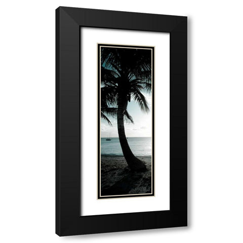 Cool Bimini Palm II Black Modern Wood Framed Art Print with Double Matting by Bryant, Susan