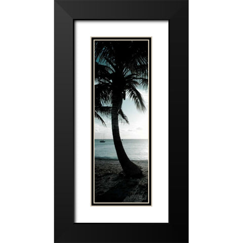 Cool Bimini Palm II Black Modern Wood Framed Art Print with Double Matting by Bryant, Susan