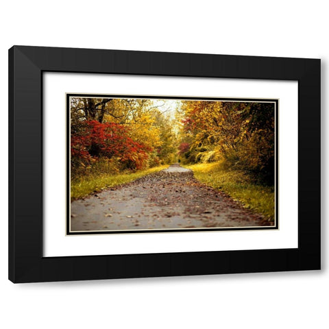Quiet Autumn Path Black Modern Wood Framed Art Print with Double Matting by Poynter, Kelly