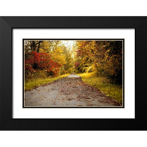 Quiet Autumn Path Black Modern Wood Framed Art Print with Double Matting by Poynter, Kelly
