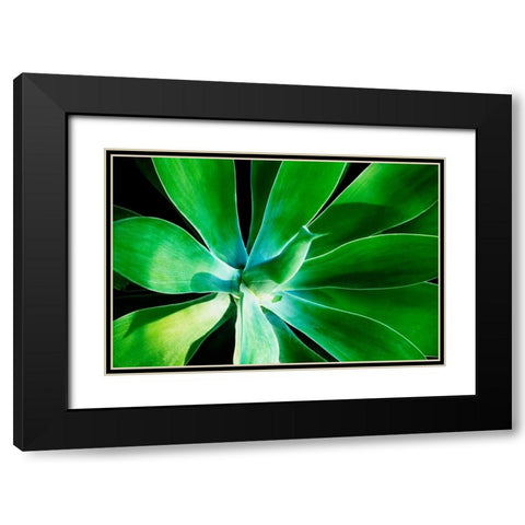 Green Intrigue Black Modern Wood Framed Art Print with Double Matting by Nawrocke, Bruce