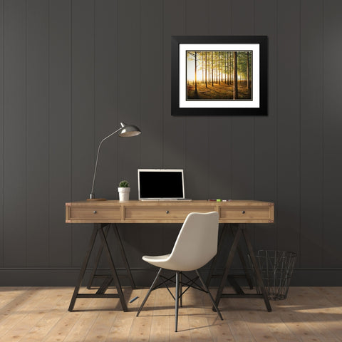 Sunrise In The Woods Black Modern Wood Framed Art Print with Double Matting by Nawrocke, Bruce
