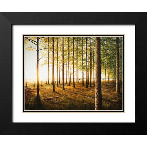 Sunrise In The Woods Black Modern Wood Framed Art Print with Double Matting by Nawrocke, Bruce