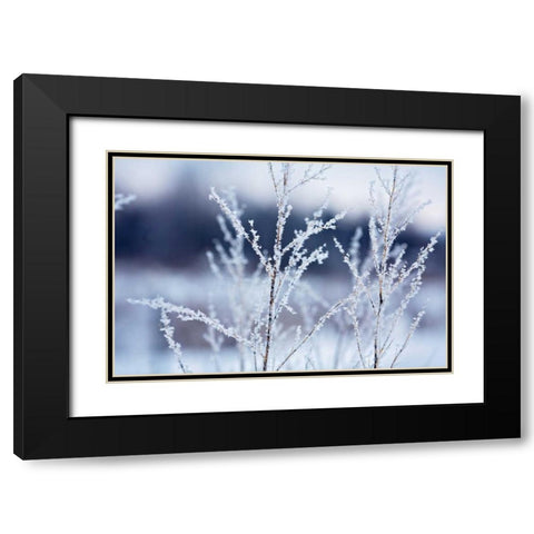 Flakes on Branches Black Modern Wood Framed Art Print with Double Matting by Poynter, Kelly