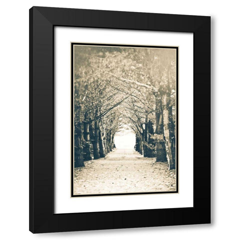 Woods Black Modern Wood Framed Art Print with Double Matting by Poynter, Kelly