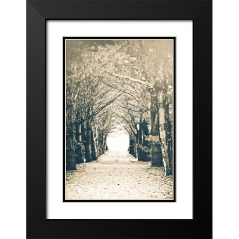 Woods Black Modern Wood Framed Art Print with Double Matting by Poynter, Kelly