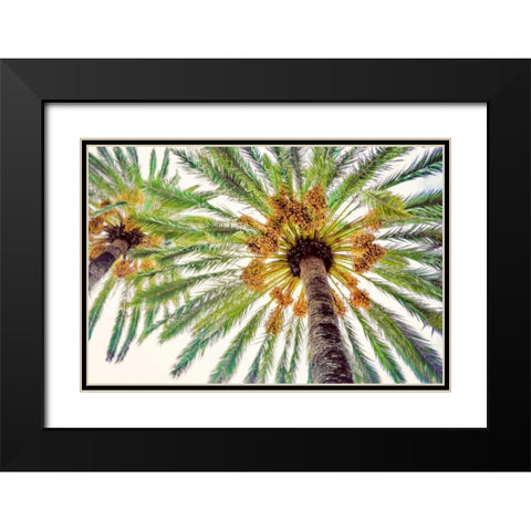 Chic Palms I Black Modern Wood Framed Art Print with Double Matting by Acosta