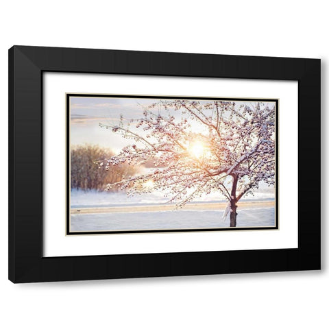 Winter Sunrise Black Modern Wood Framed Art Print with Double Matting by Poynter, Kelly