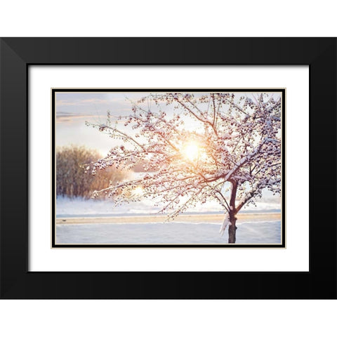 Winter Sunrise Black Modern Wood Framed Art Print with Double Matting by Poynter, Kelly